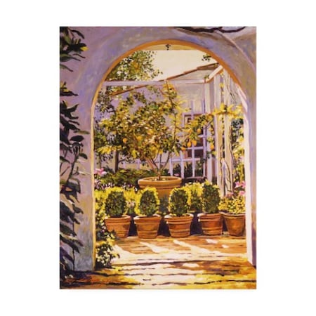 David Lloyd Glover 'The Lemon Tree Courtyard' Canvas Art,35x47